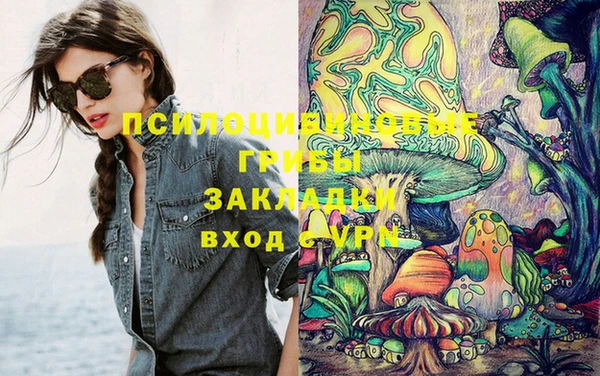 дурь Алексеевка