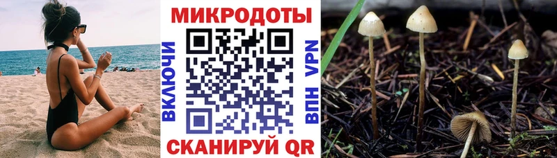сколько стоит  Бирск  Галлюциногенные грибы Psilocybine cubensis 